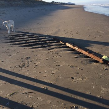 Rockaway Beach - Shipwreck from 1908 - Beaches Near Me - Rockaway Beach, Oregon Rockaway Beach - Shipwreck from 1908 - Beaches Near Me - Rockaway Beach, Oregon