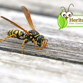 Heritage Pest Control - Pest Control Near Me - Pompton Plains, New Jersey