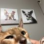 Photo of Brown Trail Animal Hospital