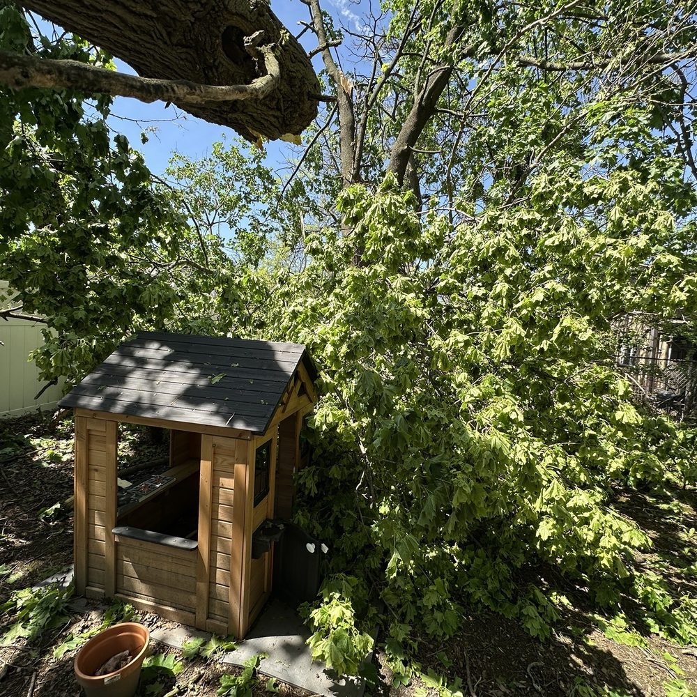 Blalock Tree Service - Pics show mess John and his crew cleaned up in a few days. - Tree Services Near Me - White Oak, Pennsylvania