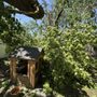 Photo of Blalock Tree Service