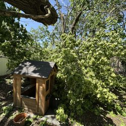 Blalock Tree Service - Pics show mess John and his crew cleaned up in a few days.