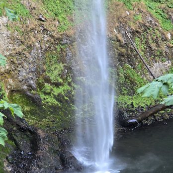 Silver Falls State Park - Hiking Near Me - Sublimity, Oregon