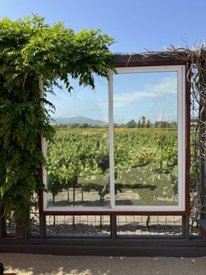 Roche Winery & Vineyards by null