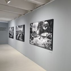 Galleria Carla Sozzani
