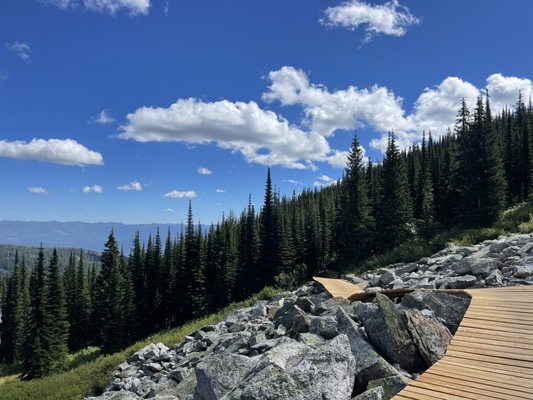 Schweitzer by null