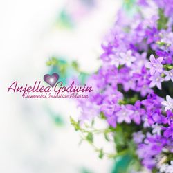 Anjellea Godwin an Elemental Intuitive Advisor - Elemental Intuitive Advisor