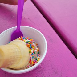 Frosty Joey's We're Back Call US - Cone in a cup for wee ones
