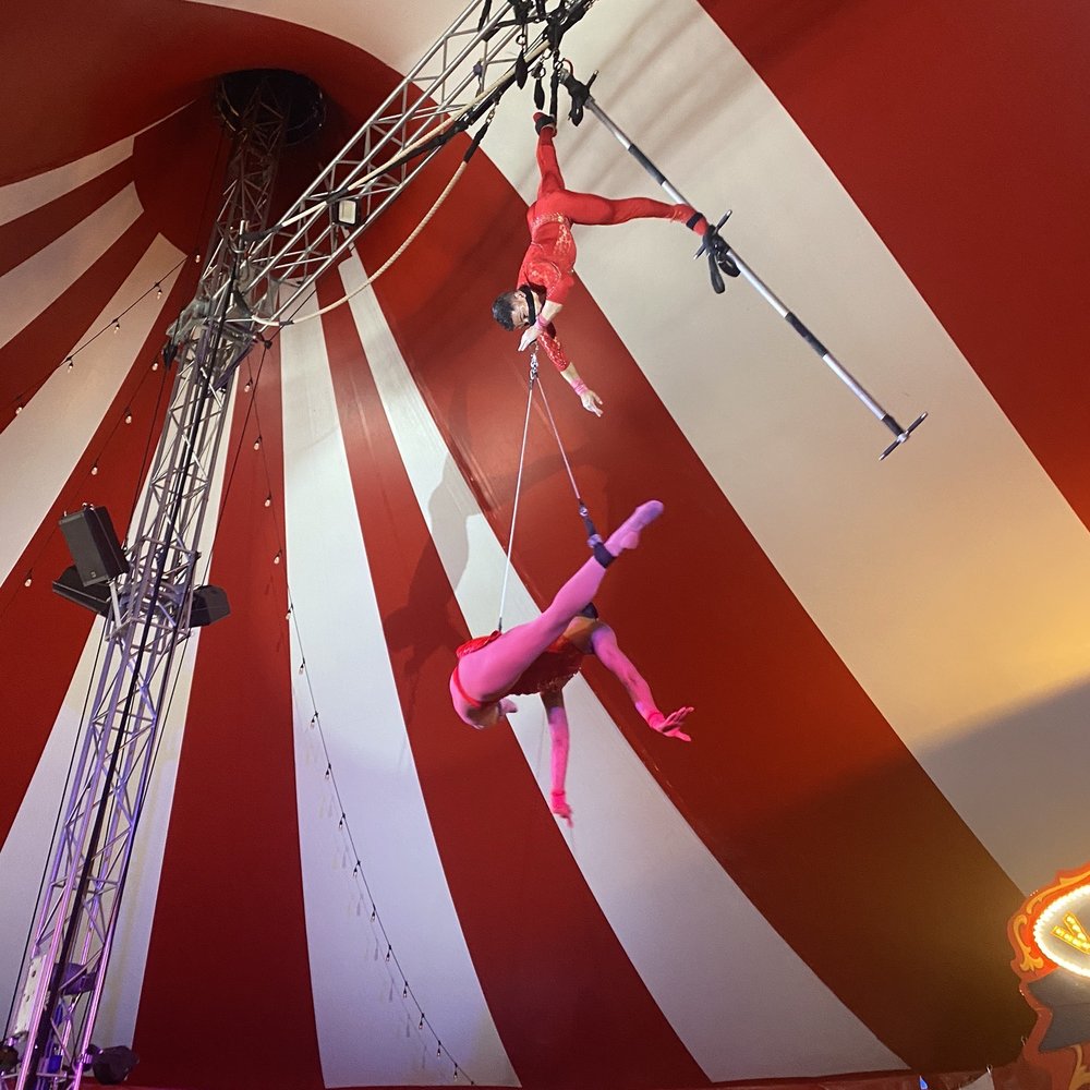 Venardos Circus - Danger danger!! - Performing Arts Near Me Venardos Circus - Danger danger!! - Performing Arts Near Me