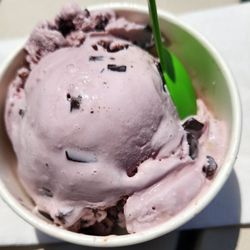 High Lawn Farm - Black Raspberry Chocolate Chip