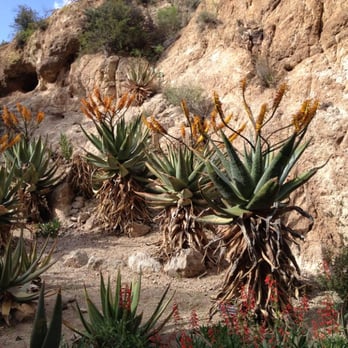 Boyce Thompson Arboretum - Botanical Gardens Near Me - Superior, Arizona Boyce Thompson Arboretum - Botanical Gardens Near Me - Superior, Arizona