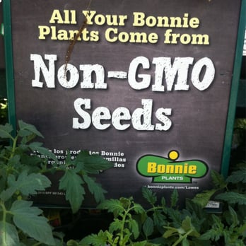 Lowe's - Good seeds!! - Hardware Stores Near Me - Los Angeles, California Lowe's - Good seeds!! - Hardware Stores Near Me - Los Angeles, California