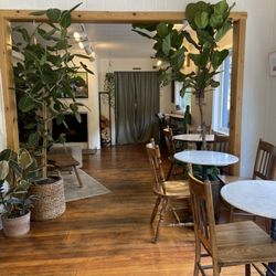 Amano Coffee & Plants