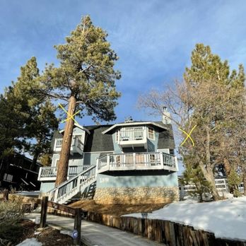 Fire Risk Management - Before - Tree Services Near Me Fire Risk Management - Before - Tree Services Near Me