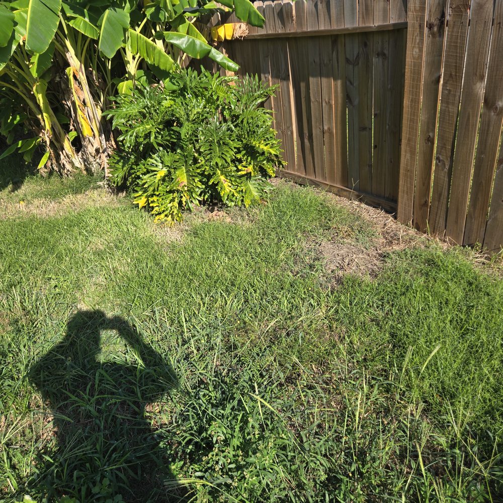 FNE Landscaping & Services - tree service in Houston, TX