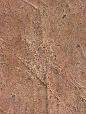 Jeffers Petroglyphs by null