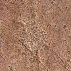 Jeffers Petroglyphs - Another petroglyph treasure