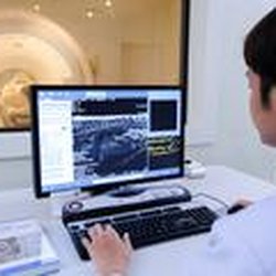Dr. Med. Vet. Florian Böhle