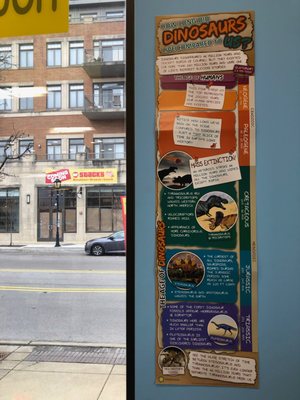 American Science & Surplus by null