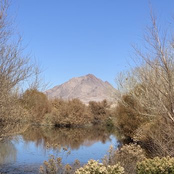 Henderson Bird Viewing Preserve - Parks Near Me - Henderson, Nevada Henderson Bird Viewing Preserve - Parks Near Me - Henderson, Nevada