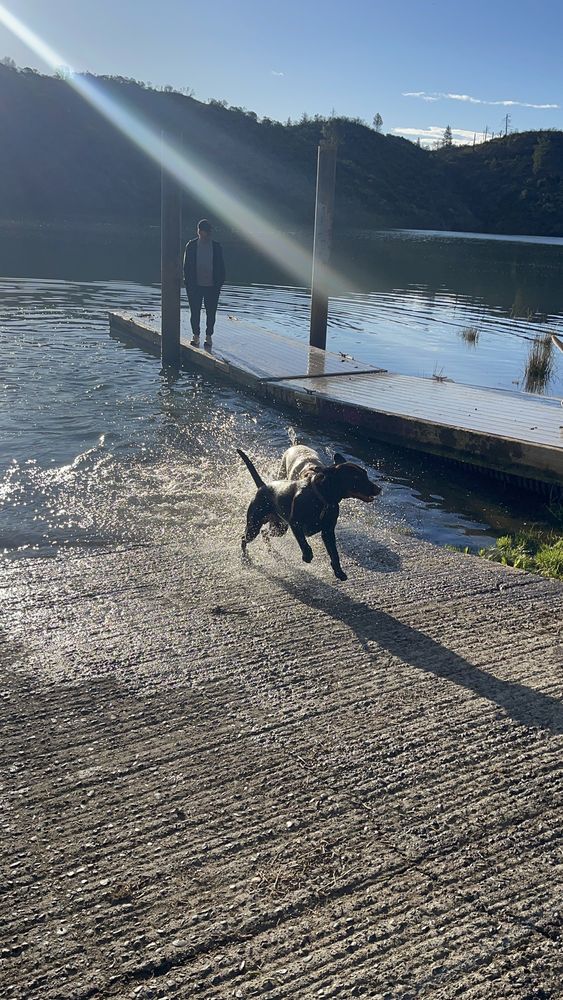 Sacramento River Rail Trail