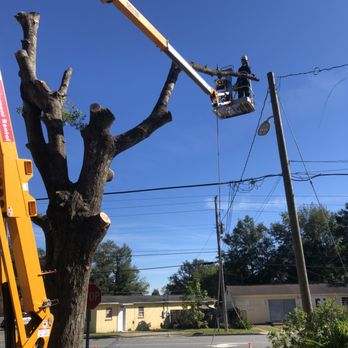 That 1 Tree Guy - Tree Services Near Me - Niceville, Florida That 1 Tree Guy - Tree Services Near Me - Niceville, Florida
