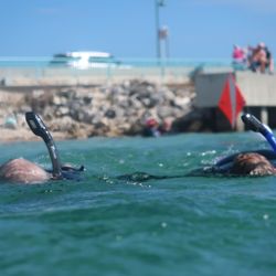 Private Scuba & Snorkel - Where we snorkel its very close to shore Laura Parke scuba instructor snorkeling guide