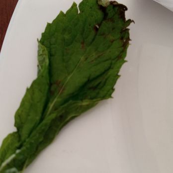 Sailor Jack's - The black mint leaf..Very disgusting. - Seafood Near Me - Benicia, California