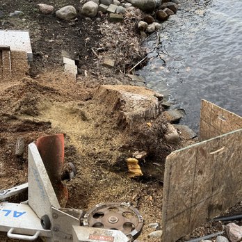 Gardner Stump Removal - Tree Services Near Me Gardner Stump Removal - Tree Services Near Me