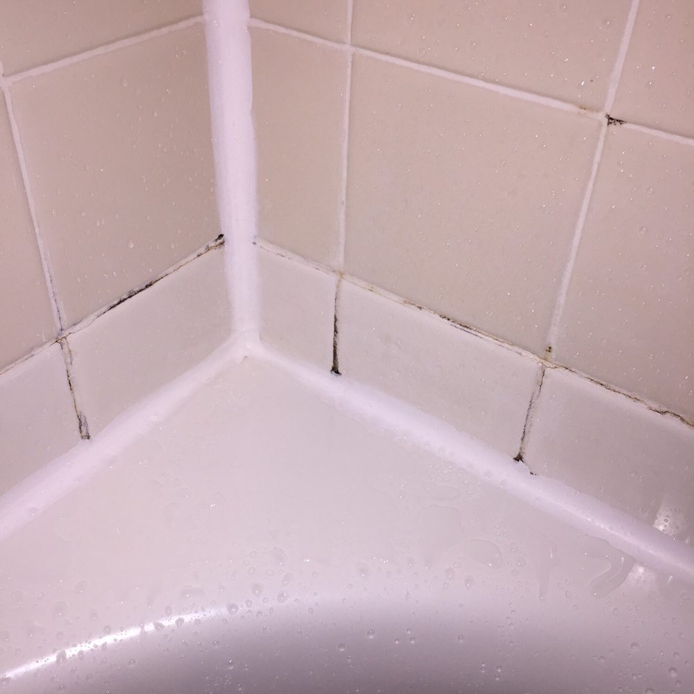 Moldy shower. Moldy shower.
