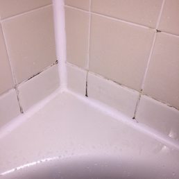 Moldy shower. Moldy shower.
