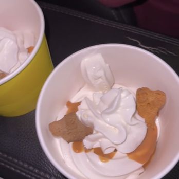 Dog & Suds - Doggy sundaes - Diners Near Me - Richmond, Illinois