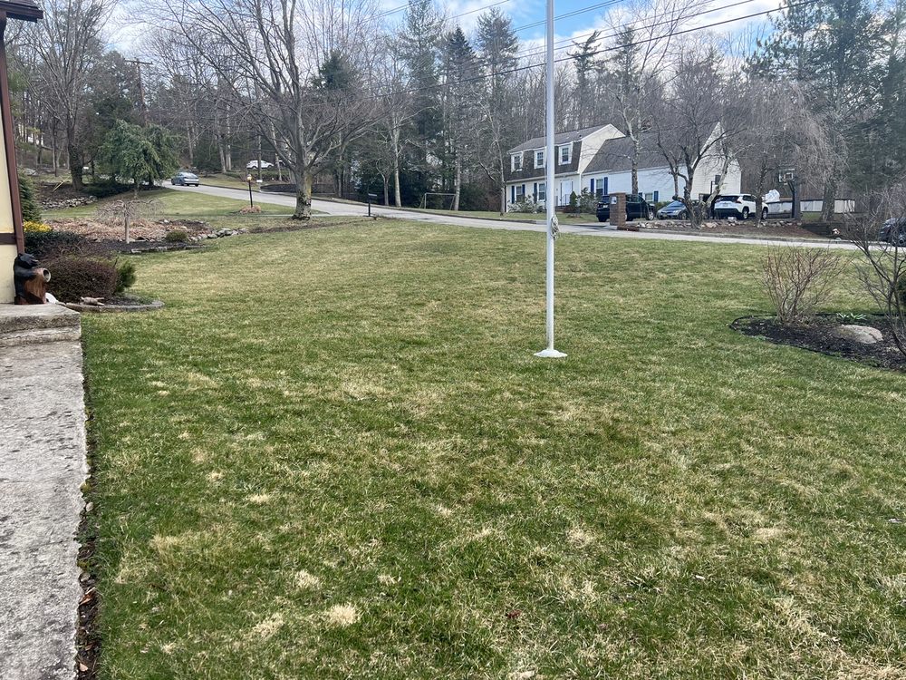 ZOYSIAGEM’S FARM Updated October 2024 68 W Tomlin Station Rd