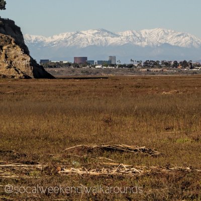 Upper Newport Bay Nature Preserve by null
