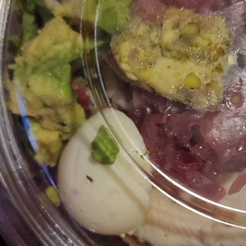 Panera Bread - There's the fly inside - Salad Near Me - Clinton, Maryland Panera Bread - There's the fly inside - Salad Near Me - Clinton, Maryland