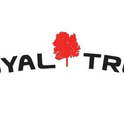 Royal Tree