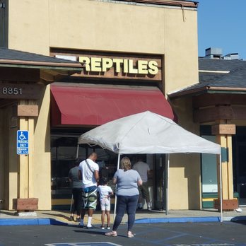 Amazon Reptile Center - Reptile Shops Near Me - Montclair, California