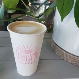 Single Origin Ethiopian Oat Milk Latte - A white paper coffee cup with foam on top, displaying the 'Daycamp Coffee' logo in pink, is positioned on a gray wooden table. The cup is near a large white ceramic pot with a textured base, containing a green leafy plant. The background includes additional plants and a blurred indoor setting.