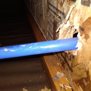 Arch Rooter and Sewer Services - Pex line leak due to rodent infestation. - Plumbing Near Me Arch Rooter and Sewer Services - Pex line leak due to rodent infestation. - Plumbing Near Me