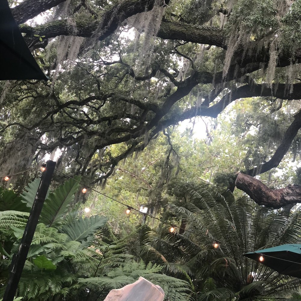 Eden Bar - Scenery - Bars Near Me - Maitland, Florida