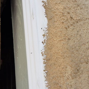 Exxel Termite - Pest Control Near Me - Paramount, California