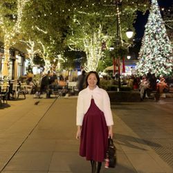 11/29/2025: Their Christmas decorations never disappoint