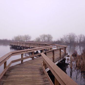 Mt St Helens Visitor Center  - Boardwalk in the fog. - Visitor Centers Near Me - Castle Rock, Washington