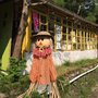 Photo of 茶園
