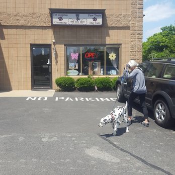Designer Dogs Pet Store & Spa - Pet Groomers Near Me - Warren, Rhode Island