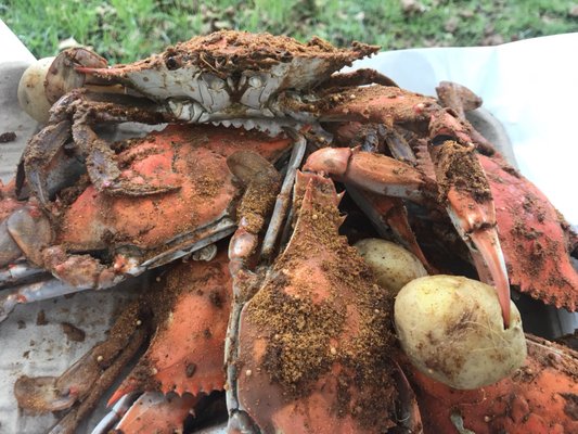 Canton Waterfront Park by null