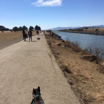 Point Isabel Regional Shoreline - Dog Parks Near Me - Richmond, California Point Isabel Regional Shoreline - Dog Parks Near Me - Richmond, California