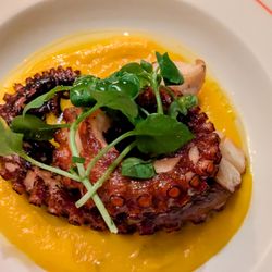 Le Valois - Grilled Octopus (Pieuvre)