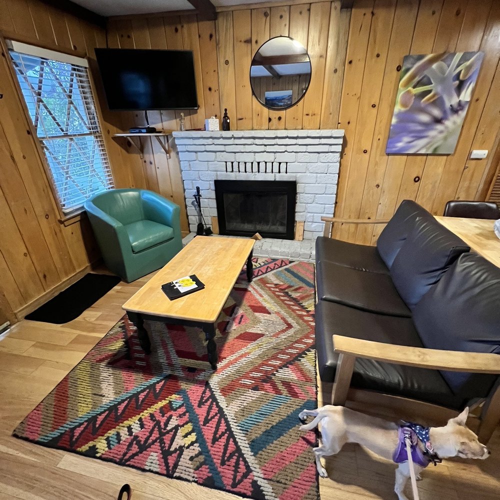 June Lake Pines - Cabin 7 living room with smart tv - Hotels Near Me - June Lake, California June Lake Pines - Cabin 7 living room with smart tv - Hotels Near Me - June Lake, California