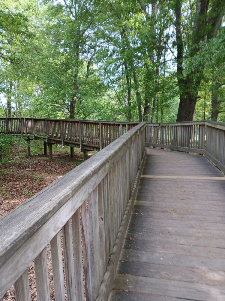 Nettles Park Image